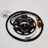 HPI 2-TEN stator (laag) - foto 1